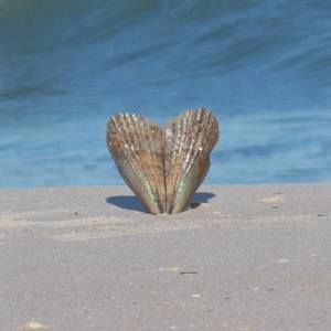 Meet your Posher, Whitney